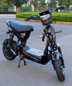 Xe điện 133 bình to